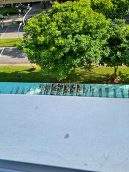 Blk 106 Gangsa Road (Bukit Panjang), HDB 3 Rooms #501681331